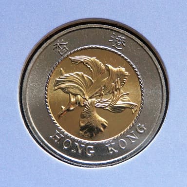 Photograph of a Hong Kong ten-dollar coin